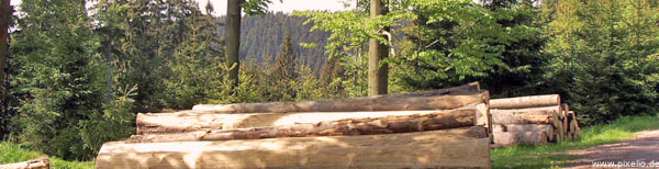 Wanderweg in Th&uuml;ringer Wald