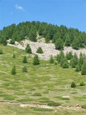 Seyne Les Alpes, Frankreich