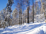 Skiurlaub im Berner Oberland