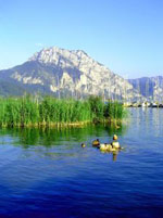 Der Traunsee, der zweitgr&oumlsste See in Ober&ouml;sterreich