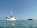 Pauschalreisen auf die Griechischen Inseln