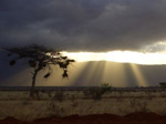 Pauschalreisen nach Kenia