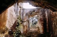 Pauschalreisen auf die Insel Naxos