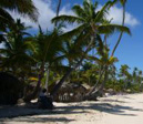 Pauschalreisen nach Punta Cana