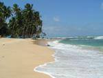 Pauschalreisen nach Sri Lanka