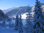 Skiurlaub 