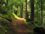Wandern im Sauerland
