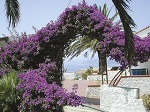 Pauschalreisen auf die Insel Elba