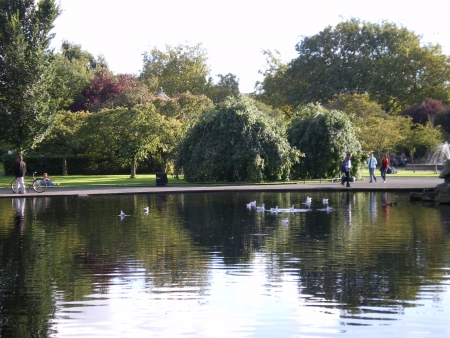 Park in Dublin