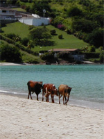 Urlaub auf Grenada