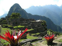 Der Machu Picchu in Peru