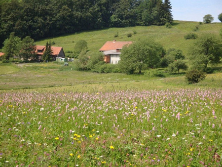 Gehöft Feldbach
