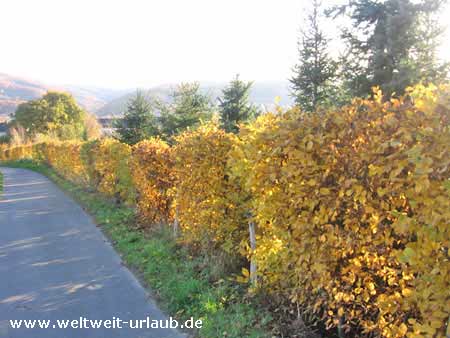 Sauerland Urlaub