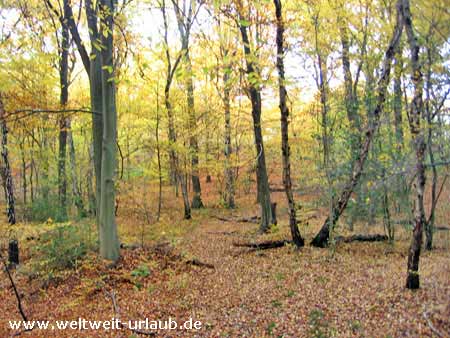 Sauerland Foto