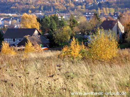 Sauerland im Herbst