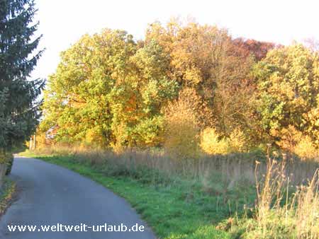 Sauerland Herbst