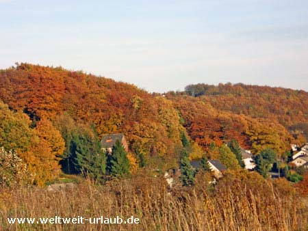 Herbst im Sauerland