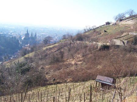 Aufstieg zur Burg