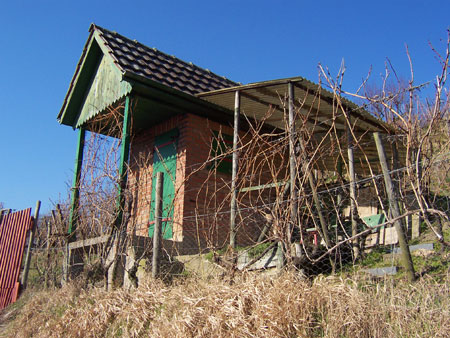 Hütte der Weinbauern