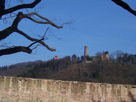 Burgruine Windeck und Wachenburg
