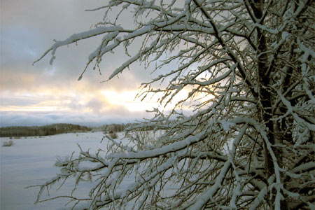 Winterlandschaft in Finnland