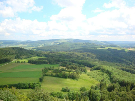 Blick vom Feldberg
