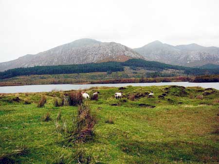 Connemara Nationalpark, Irland