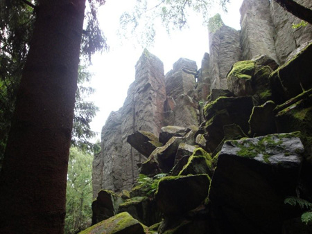 Deutlich erkennt man die gigantischen Basaltsäulen, meist sind sie 5-eckig.
