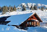Skiurlaub Ferienhaus Axamer Lizum