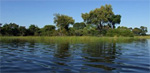 Flusskreuzfahrten Botswana & Zambia