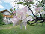 Hotel Bayrischer Wald