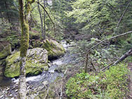 Wilder Fluss im Bayerwald - Bayrischer Wald