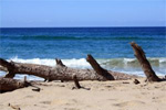 Afrika Strand