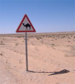 Djerba