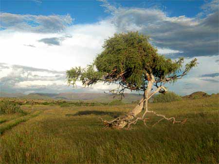 Namibia Urlaub