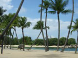 Urlaub am Palmenstrand, Singapur
