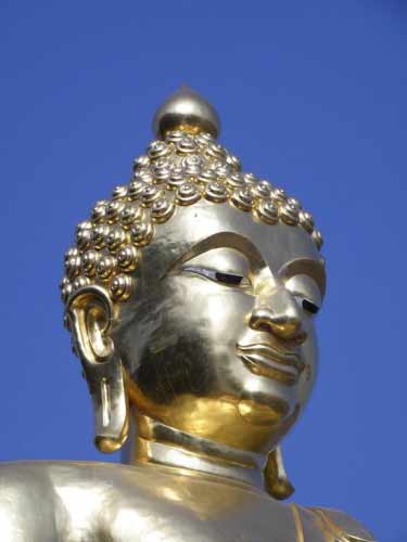 Buddha Statue Thailand