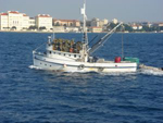 Fischerboot in Zadar