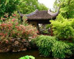 Chinesischer Garten