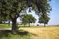 Urlaub auf dem Land