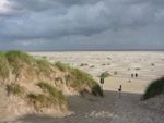 Amrum