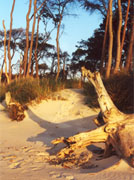 Sylt Strand