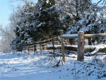 Winter in Allgäu