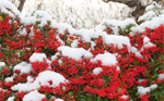 Winter im Berchtesgadener Land