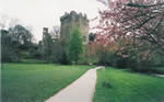 Dublin Schloss