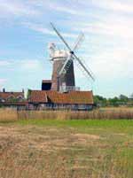 Windmühle Norfolk