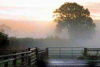 Midlands