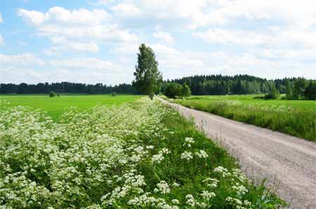 Finnland Sommerurlaub
