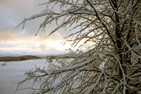 Finnland Winterurlaub