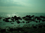 Föhr